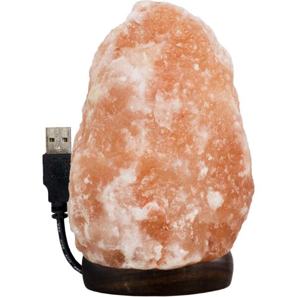 Salt Lamp w/USB Cord & Led Light Iceberg