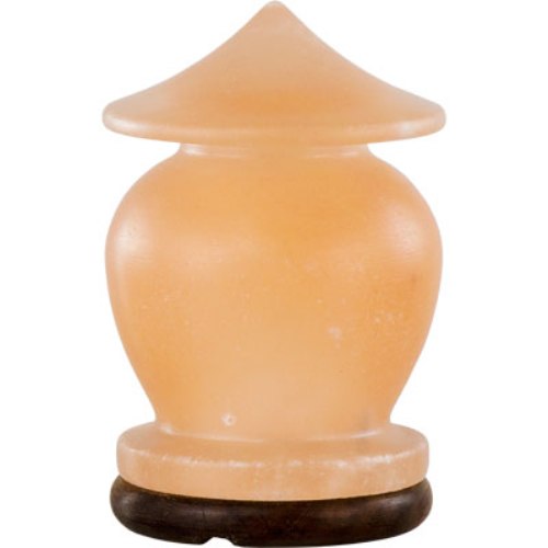 Salt lamp with wood base zen